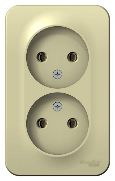 Розетка 2-м ОП Blanca 16А IP20 250В без заземл. без защ. шторок с изолир. пластиной беж. SE BLNRA000217 ТехноИмпульс