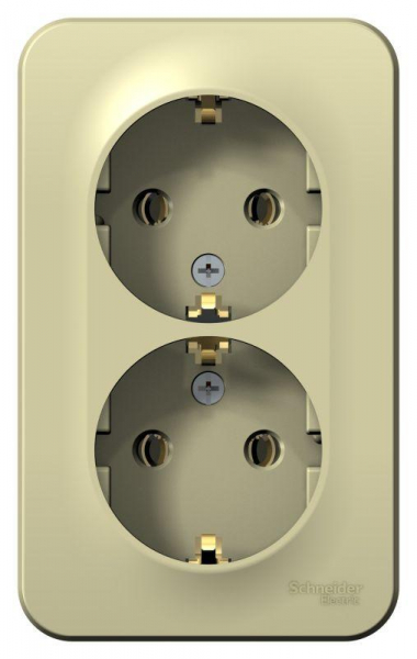 Розетка 2-м ОП Blanca 16А IP20 250В с заземл. без защ. шторок с изолир. пластиной беж. SE BLNRA010217 ТехноИмпульс