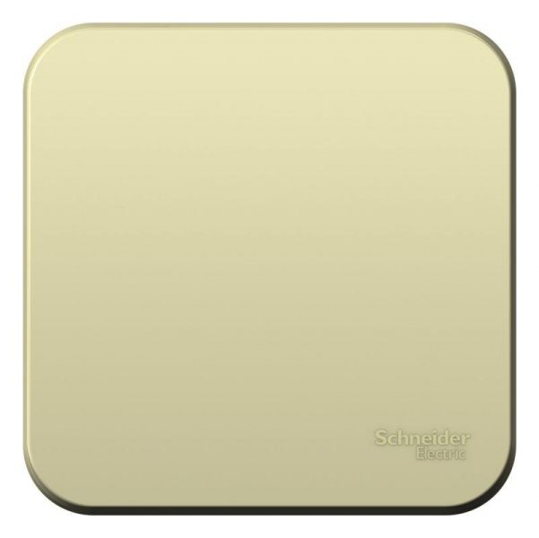 Выключатель 1-кл. ОП Blanca 10А IP20 (сх. 1) 250В с изолир. пластиной беж. SE BLNVA101017 ТехноИмпульс