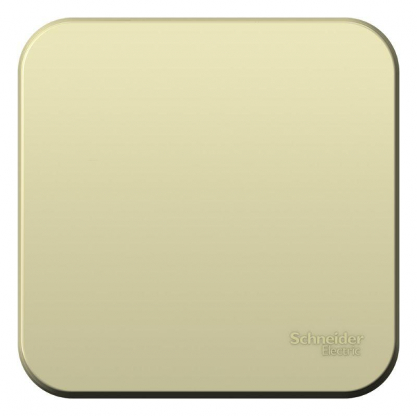 Переключатель проходной 1-кл. ОП Blanca 10А IP20 (сх. 6) 250В с изолир. пластиной беж. SE BLNVA106017 ТехноИмпульс