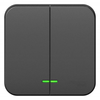 Выключатель 2-кл. ОП Blanca 10А IP20 (сх. 5) 250В с подсветкой с изолир. пластиной антрацит SE BLNVA105116 ТехноИмпульс